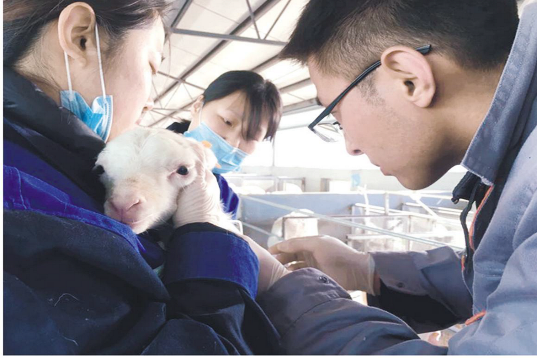 當(dāng)好產(chǎn)業(yè)扶貧主力軍，打贏脫貧攻堅(jiān)戰(zhàn)